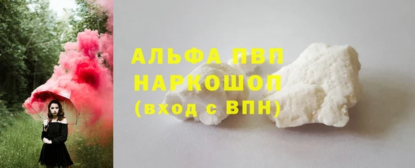 apvp Белокуриха