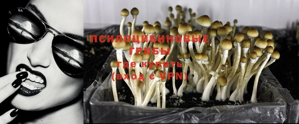 хмурый Белоозёрский